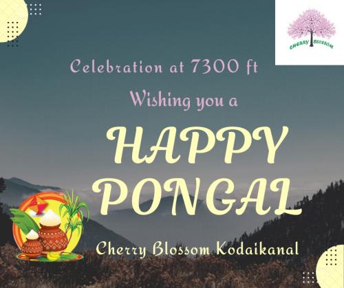 Pongal wishes